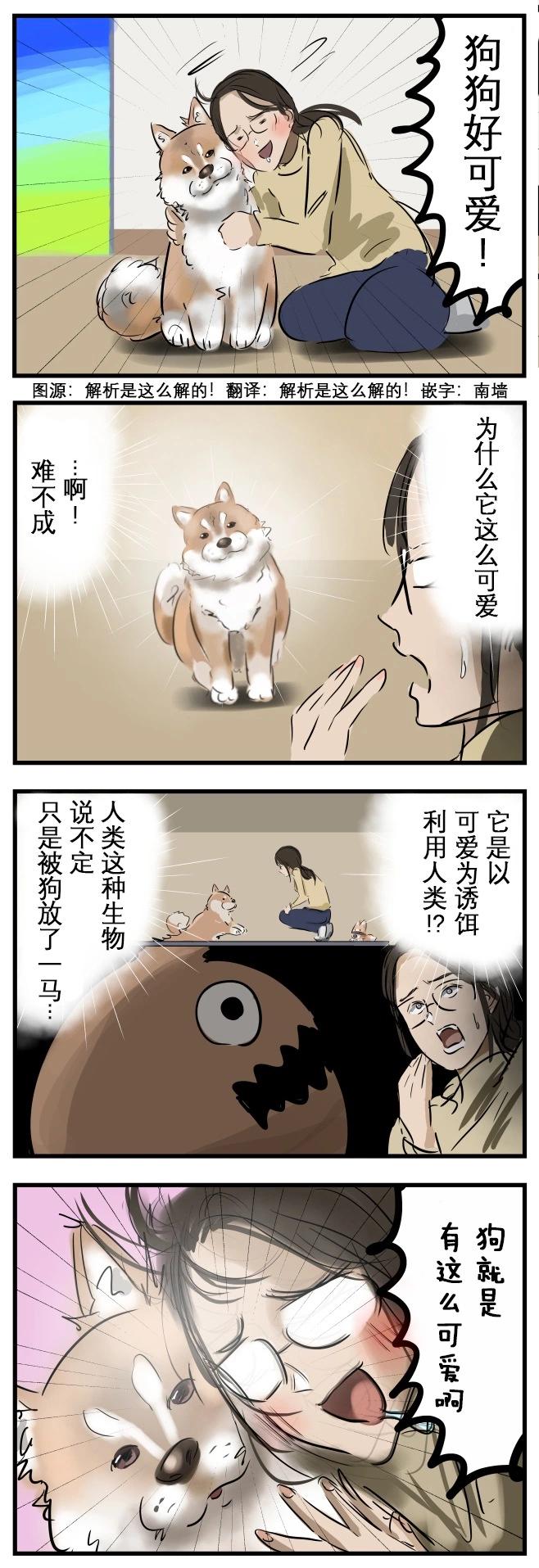 カコミスル老師四格合集 - 今日小狗 - 1