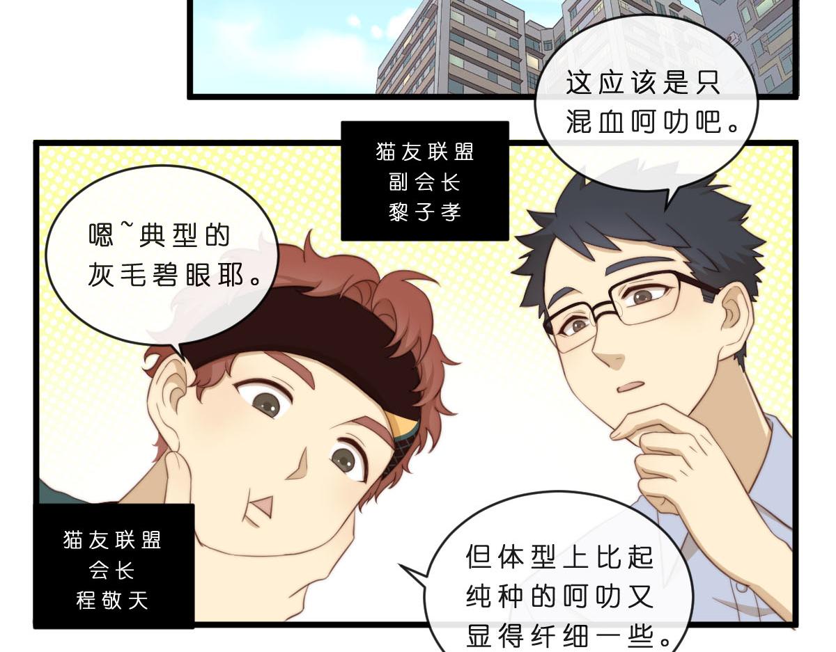 心.守 - 34.表哥家與貓 - 3