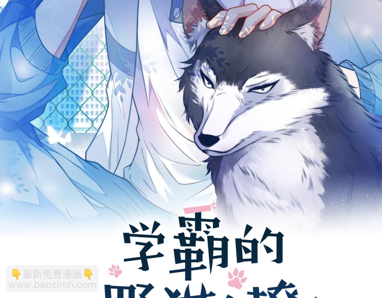 學霸的小野貓太撩人 - 第53話  挺喜歡貓貓的(1/2) - 2