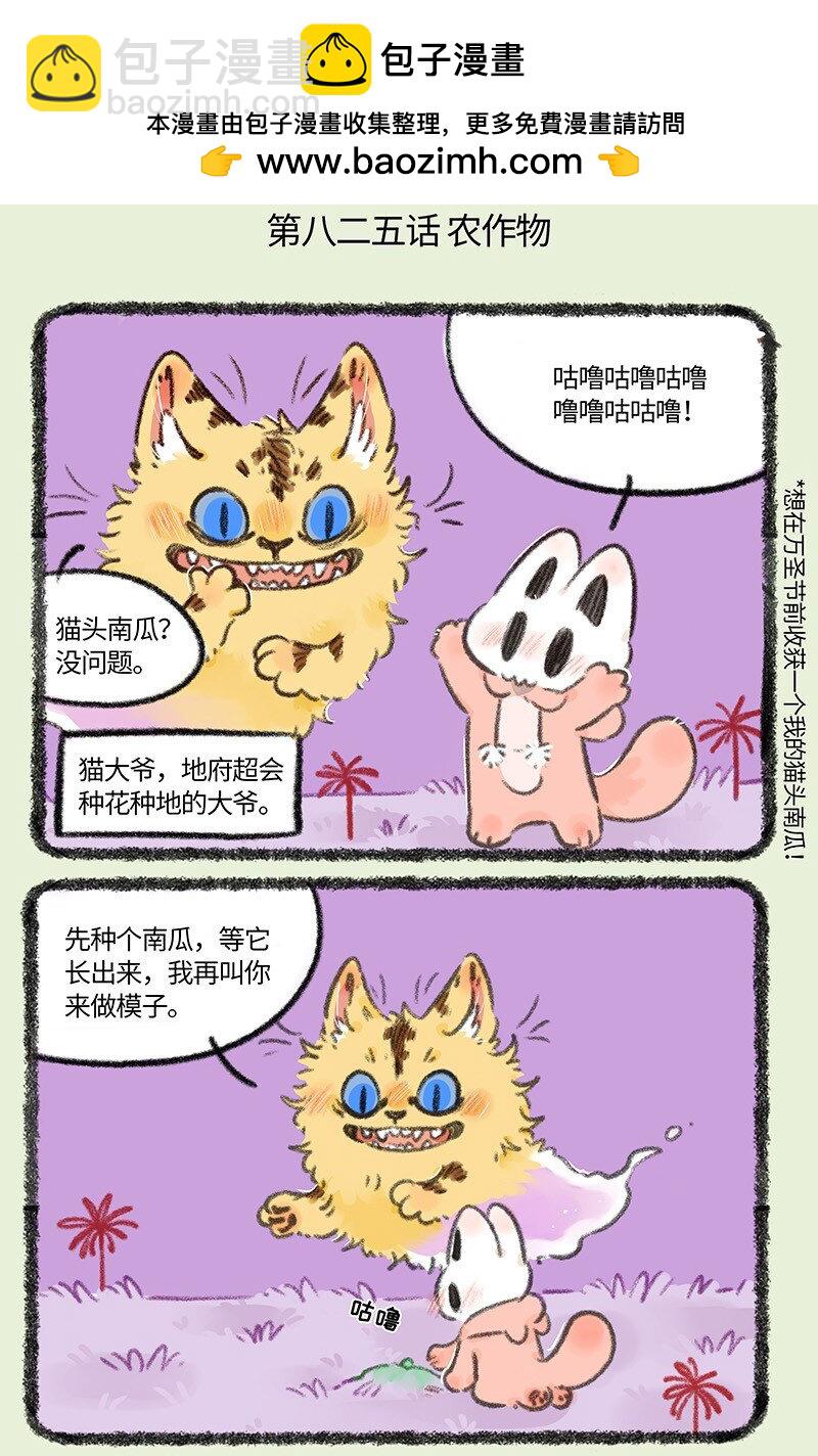 有獸焉 - 825 貓頭南瓜 - 2